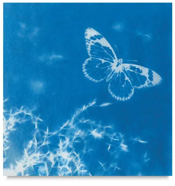 Nature Print Paper – Sun-Activated Paper for Art & Crafts